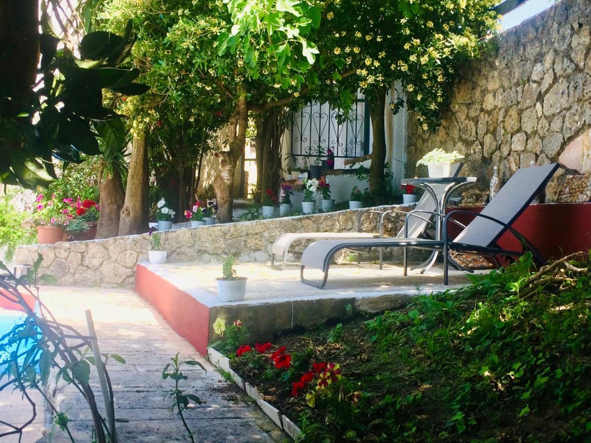 Case de vacanță Ermones Penelope Vátos